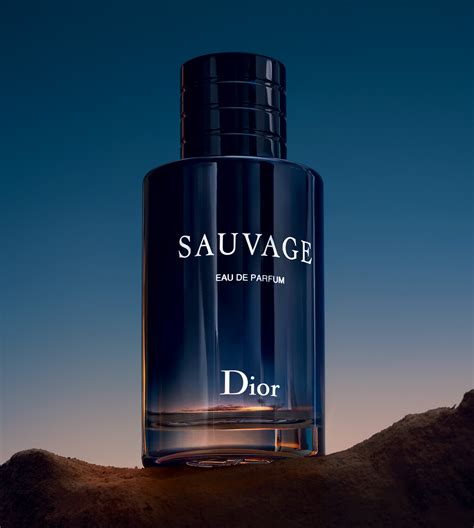 dior male fragrance